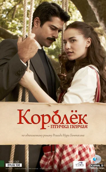 Королёк – птичка певчая смотреть онлайн